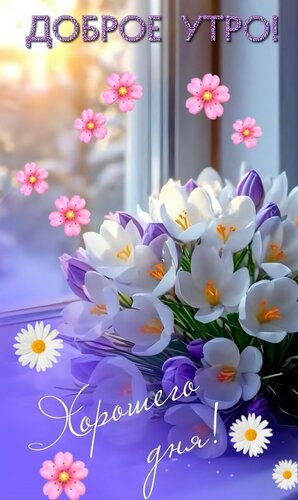 Открытка Доброе утро