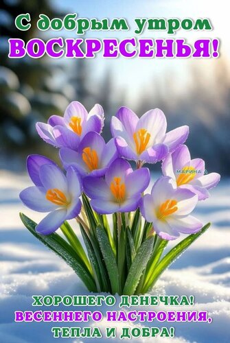 Открытка С ДОБРЫМ УТРОМ ВОСКРЕСЕНЬЯ! ХОРОШЕГО ДЕНЕЧКА! ВЕСЕННЕГО НАСТРОЕНИЯ, ТЕПЛА И ДОБРА!