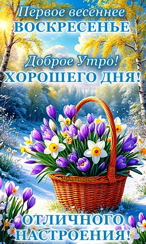 Открытка Воскресенье. Доброе утро! Хорошего дня! Отличного настроения!