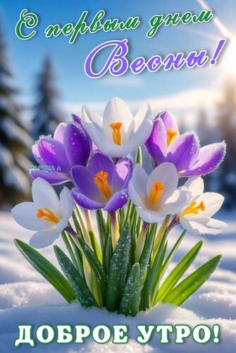 Открытка С ПЕРВЫМ ДНЕМ ВЕСНЫ! ДОБРОЕ УТРО!