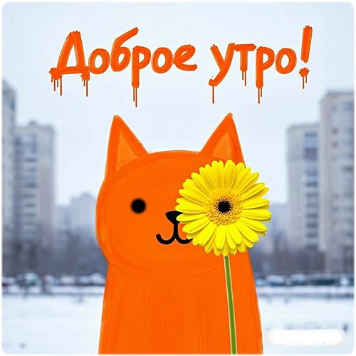 Открытка Доброе утро!