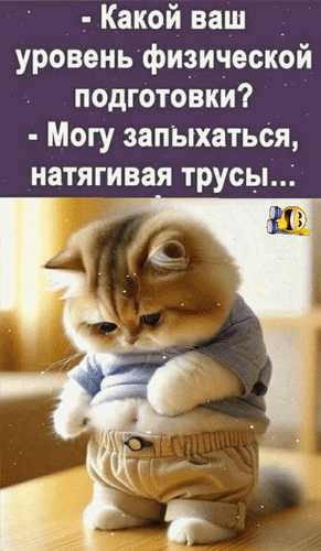 Анимированная открытка - Какой ваш уровень физической подготовки? - Могу запыхаться, натягивая трусы...