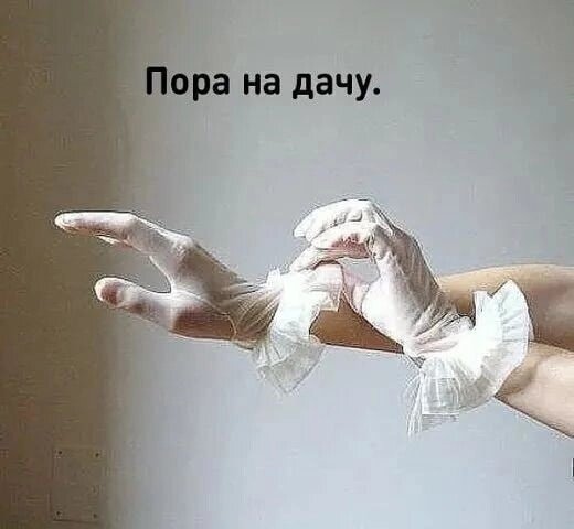 Открытка Пора на дачу