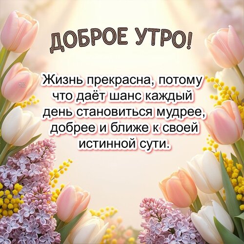 Открытка Доброе утро!