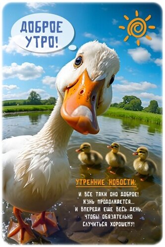 Открытка Доброе утро!
