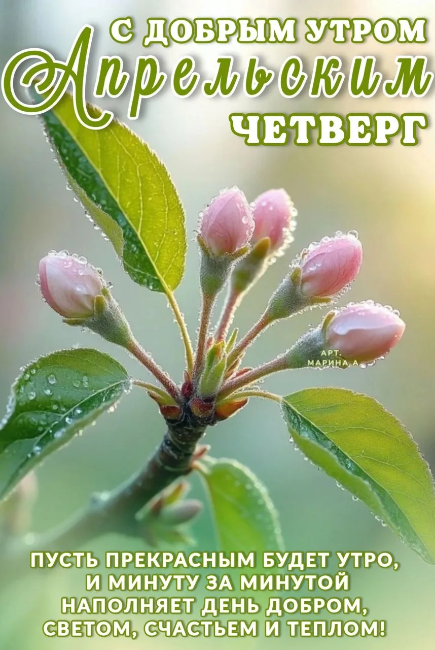 Открытка С ДОБРЫМ УТРОМ АПРЕЛЬСКИМ. ЧЕТВЕРГ. ПУСТЬ ПРЕКРАСНЫМ БУДЕТ УТРО, И МИНУТУ ЗА МИНУТОЙ НАПОЛНЯЕТ ДЕНЬ