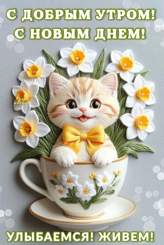 Открытка С ДОБРЫМ УТРОМ! С НОВЫМ ДНЕМ! УЛЫБАЕМСЯ! ЖИВЕМ!