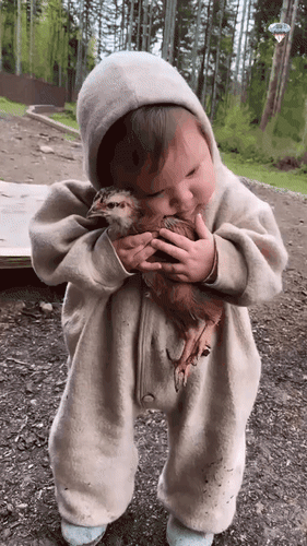 Анимированная открытка нет текста