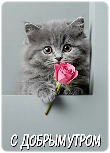 Открытка Доброе утро!
