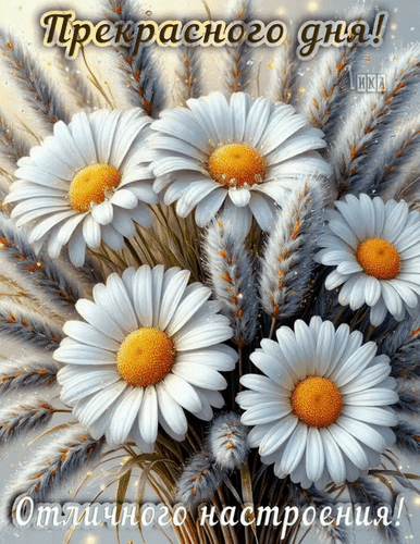 Анимированная открытка Добрый день