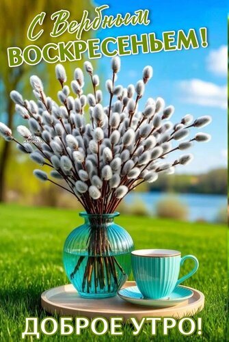 Открытка С Вербным Воскресеньем! Доброе УТРО!