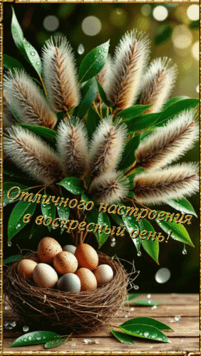 Анимированная открытка Отличного настроения в воскресный день!