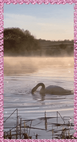 Анимированная открытка Береги то, что у тебя есть. Не смотри на то, что есть у других. Благодари Бога, что он тебе дал и он даст больше. 