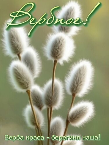 Открытка Вербное!