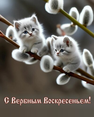 Открытка С вербным воскресеньем