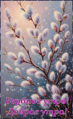 Анимированная открытка Вербное утро! Доброе утро!