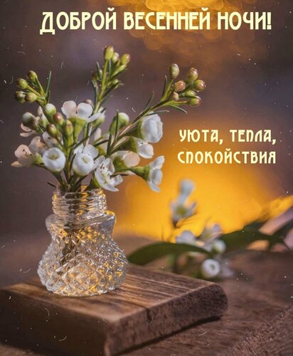 Открытка Доброй весенней ночи! Уюта, тепла, спокойствия