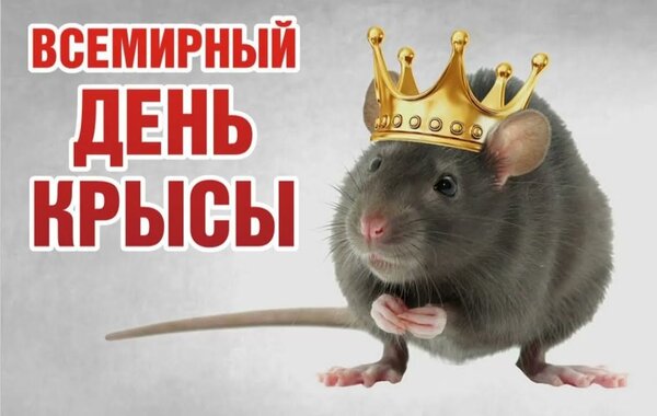Открытка Всемирный день крысы - 4 апреля