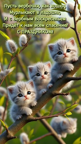 Открытка Пусть вербочки, как кошки, Мурлыкают в ладошке, И с Вербным Воскресеньем Придёт к нам всем спасение!