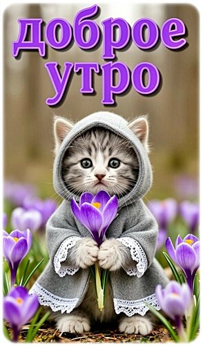 Открытка Доброе утро!