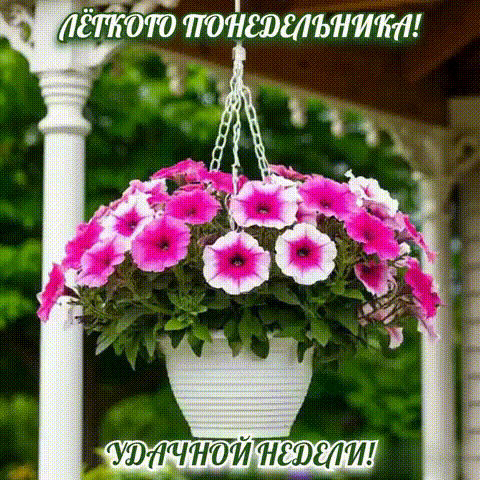 Анимированная открытка ЛЕГКОГО ПОНЕДЕЛЬНИКА!, УДАЧНОЙ НЕДЕЛИ!