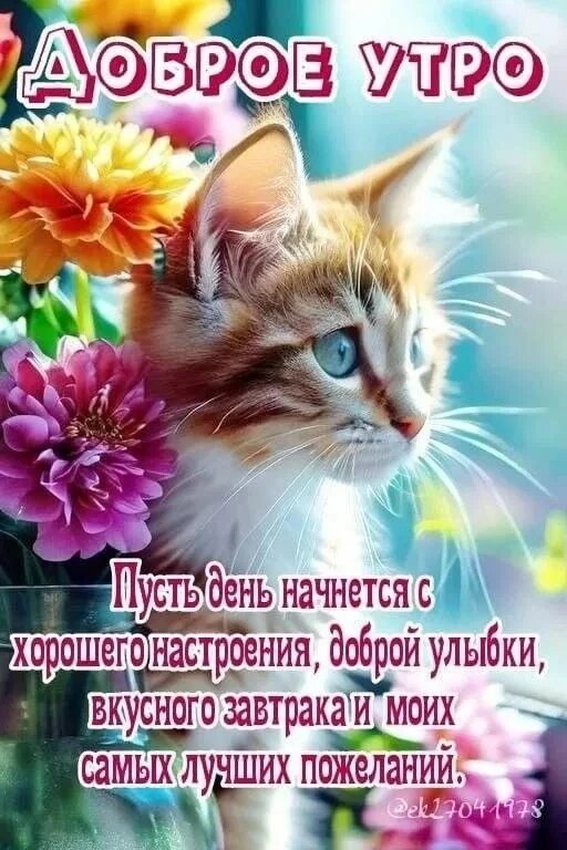 Открытка Доброе утро