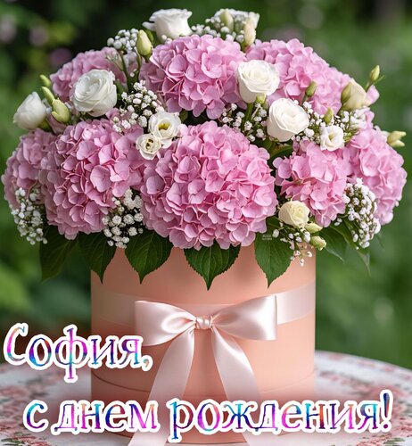 Открытка София, с днем рождения!