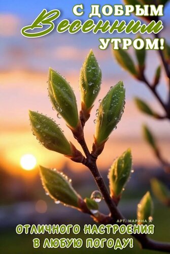 Открытка С ДОБРЫМ ВЕСЕННИМ УТРОМ! ОТЛИЧНОГО НАСТРОЕНИЯ В ЛЮБУЮ ПОГОДУ!