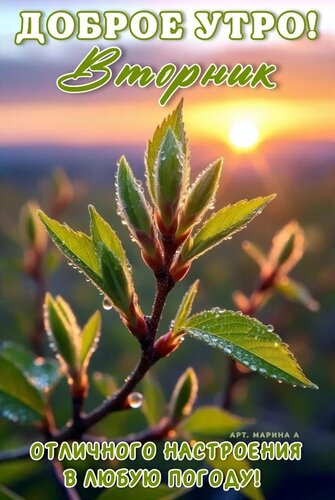 Открытка ДОБРОЕ УТРО! ВТОРНИК. ОТЛИЧНОГО НАСТРОЕНИЯ В ЛЮБУЮ ПОГОДУ!