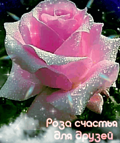 Анимированная открытка Роза счастья для друзей