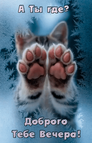 Анимированная открытка А ты где? Доброго тебе вечера!