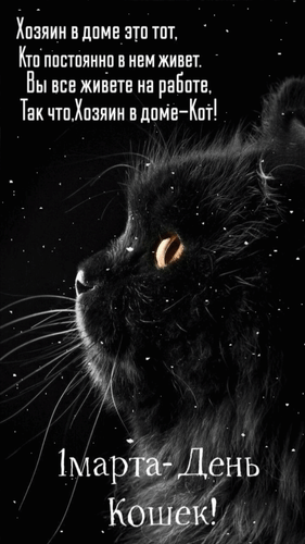 Анимированная открытка 1 марта - день кошек! Хозяин в доме это тот, кто постоянно в нем живёт. Вы все живёте на работе, так что...