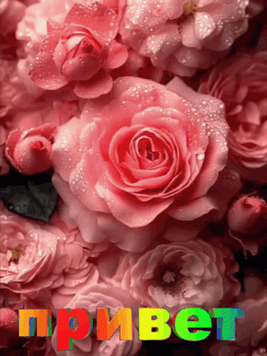 Анимированная открытка Привет