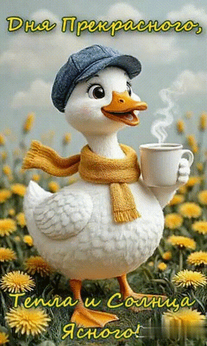 Анимированная открытка Дня прекрасного, тепла и солнца ясного!