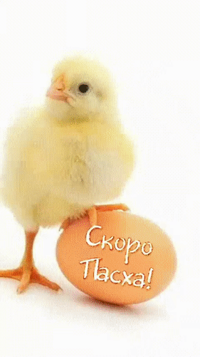 Открытка Скоро Пасха! Пора готовиться!