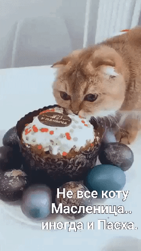 Анимированная открытка Не все коту Масленица... иногда и Пасха.