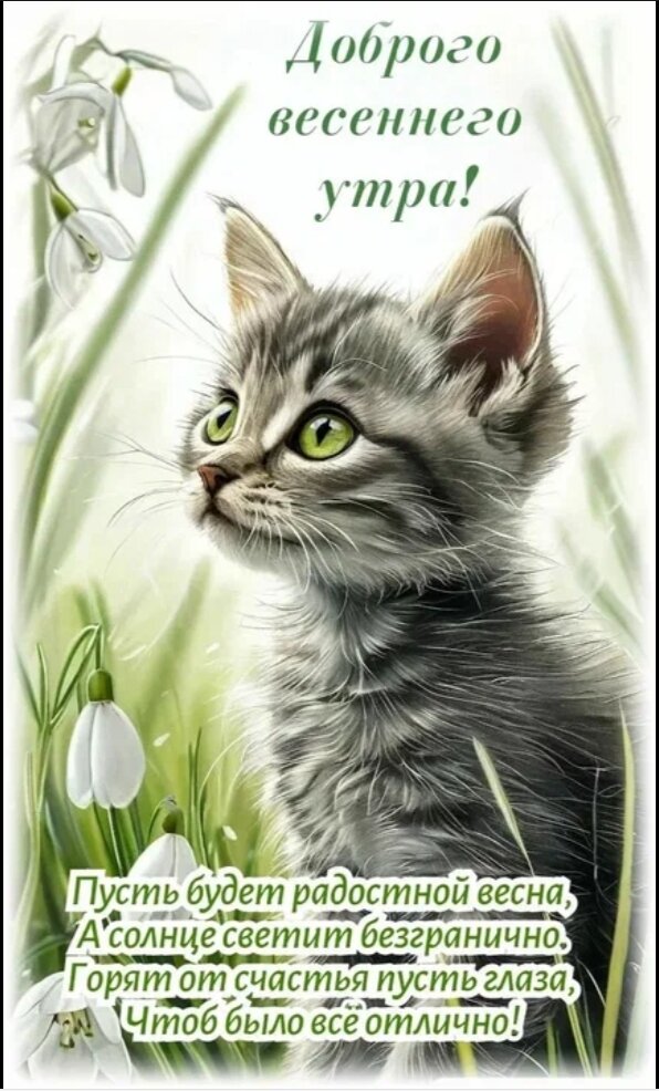 Открытка Доброе весеннее утро!