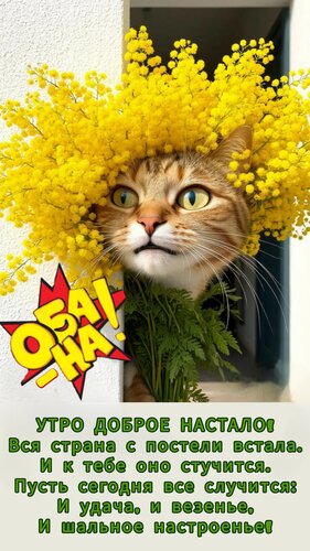 Открытка Утро доброе настало Вся страна с постели встала. И к тебе оно стучится. Пусть сегодня все случится: