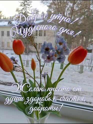 Открытка Доброе утро,чудесного дня!