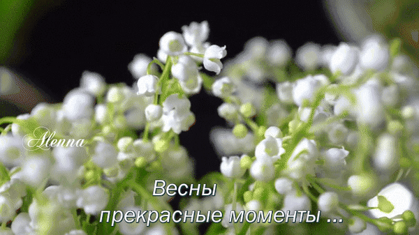 Анимированная открытка Весны прекрасные моменты