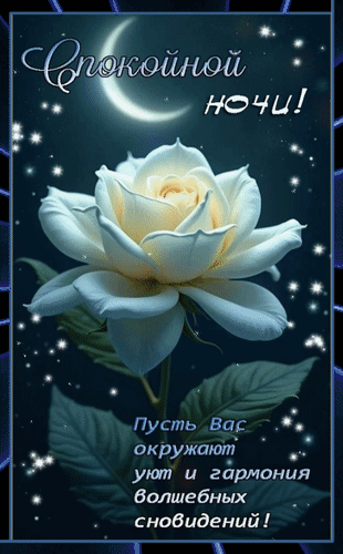 Анимированная открытка Спокойной ночи! Пусть вас окружают уют и гармония волшебных сновидений!