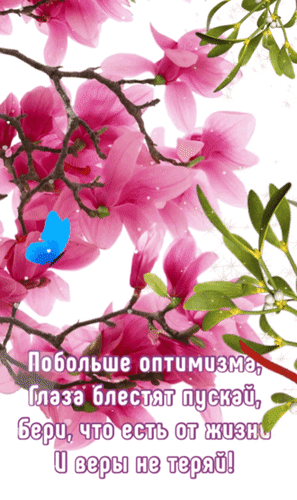 Анимированная открытка Побольше оптимизма, глаза блестят пускай, бери, что есть от жизни и веры не теряй!