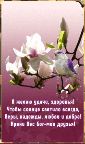 Анимированная открытка Я желаю удачи, здоровья! Чтобы солнце светило всегда, веры, надежды, любви и добра! Храни вас Бог!