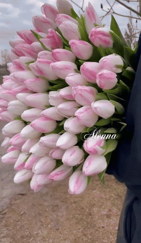 Анимированная открытка Весна