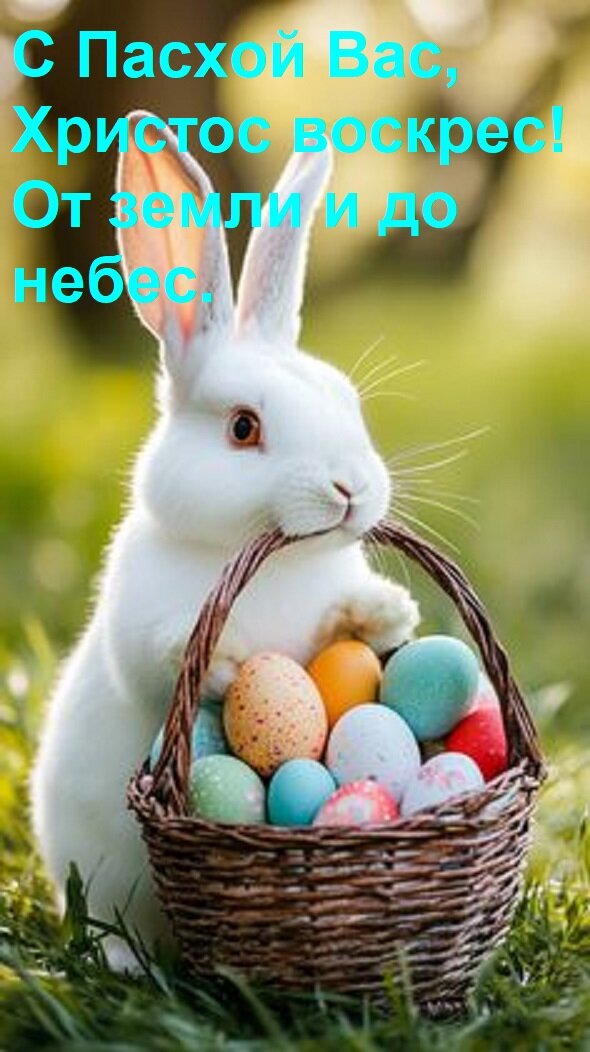Открытка С Пасхой Вас, Христос воскрес! От земли и до небес.