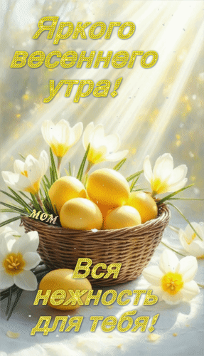 Анимированная открытка Яркого весеннего утра! Вся нежность для тебя!