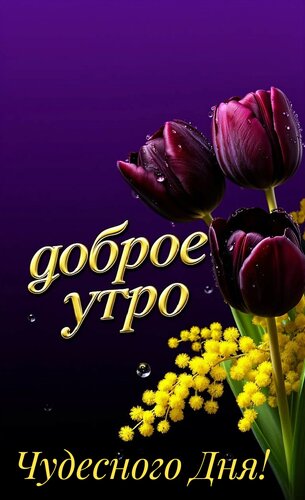 Открытка Доброе утро, чудесного дня