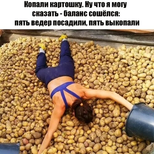 Открытка Копали картошку баланс сошёлся