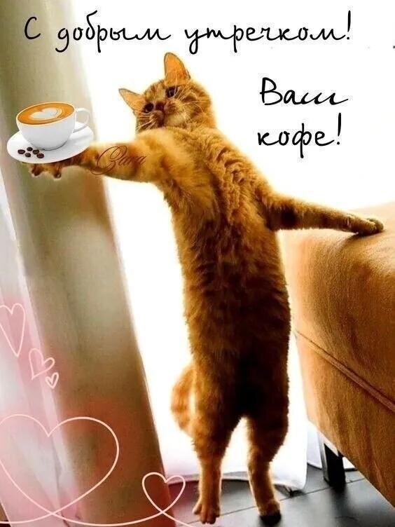 Открытка с добрым утречком