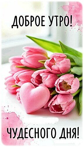 Открытка ДОБРОЕ УТРО!